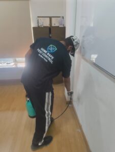 WhatsApp Image 2025-12-28 at 1.05.52 PM (2)